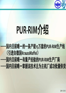 汽车设计和维修培训课件RIM技术在汽车内外饰中的应用