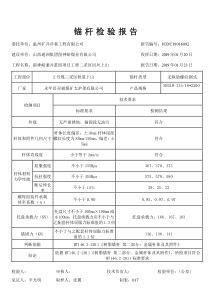 锚杆检验报告