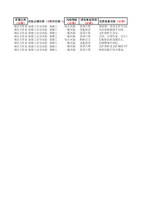 风险点源库模板巷维工