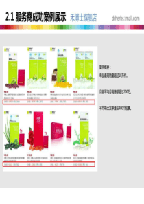 电商-代运营策划整体推广方案-图文.ppt