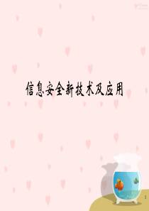 信息安全新技术