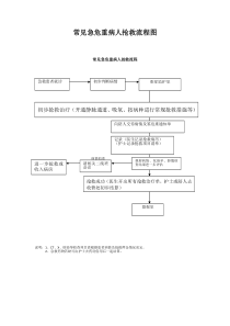 常见急危重病人抢救流程