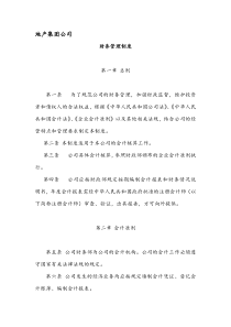 房地产开发集团有限公司财务管理制度(完整版)