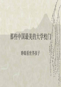 中国名牌大学介绍主题班会1