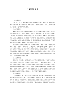 个案工作计划书-模板