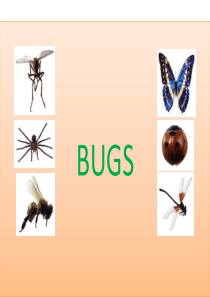 英语基础教程-BUGS