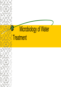 水处理微生物学双语1