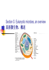 水处理微生物学双语7