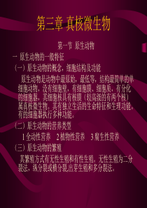 环境工程微生物学02真核微生物