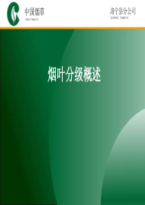 烟叶分级概述
