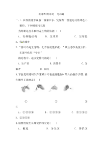 初中生物中考选择题汇总(含答案共四套)