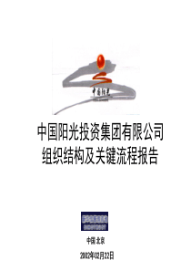 新华信_中国阳光投资集团组织结构及关键流程报告