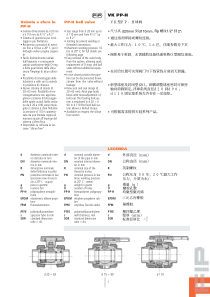 VKPPH球阀