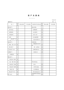村集体经济组织会计报表
