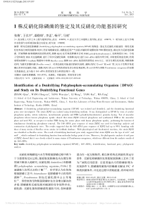 1株反硝化除磷菌的鉴定及其反硝化功能基因研究