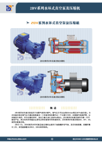 2bv伯仲真空泵