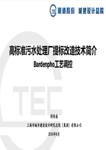 3周传庭高标准污水处理厂工艺