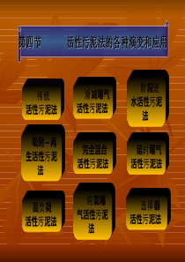 11活性污泥法的各种演变和应用