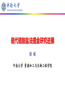 14徐斌硫代硫酸盐法提金研究进展中南大学