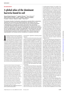 49Aglobalatlasofthedominantbacteriafoundi
