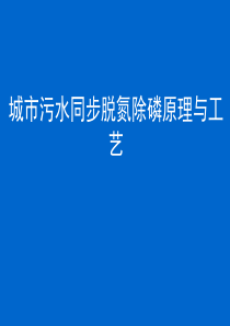 413污废水深度处理同步脱氮除磷的微生物学原理与工艺