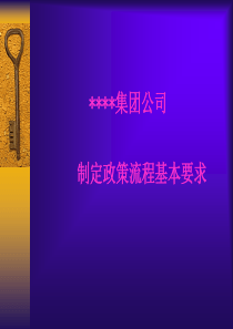 某集团对下属公司制定政策与相关工作流程的基本要求