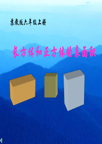 3、长方体和正方体的表面积