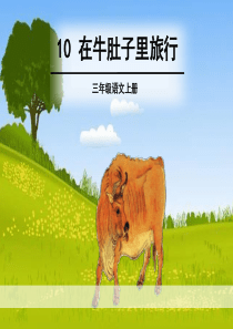 部编人教版小学语文三年级上册在牛肚子里旅行