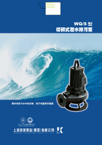 A上海凯泉WQS型切碎式潜水排污泵