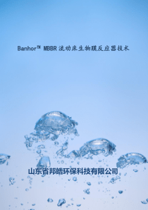 BanhorMBBR流动床生物膜反应器系统