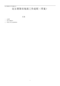 比尔莱斯市场部工作流程草案(1)