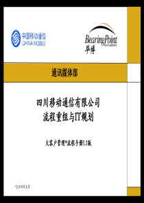 毕博—四川移动大客户流程手册