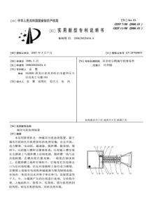 CN2006200204546城市污泥处理装置公开号2876088
