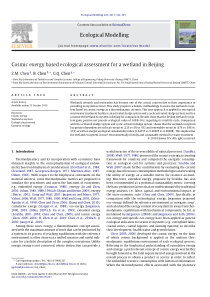 Cosmicexergybasedecologicalassessmentforawetlandin