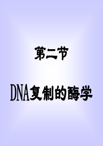 DNA复制的酶学