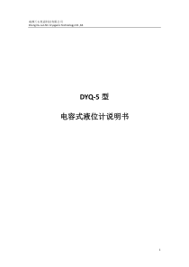 DYQ5电容式液位计产品说明书