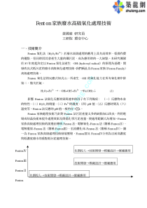Fenton家族废水高级氧化处理技术
