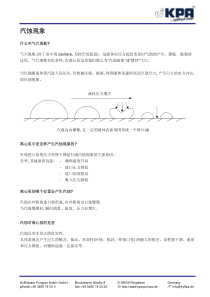 KAP泵诱导轮简介CavitationChi