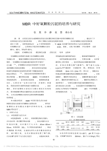 MBR中好氧颗粒污泥的培养与研究