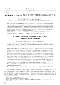 PEINaAAl2O3复合支撑分子筛膜的微波水热合成