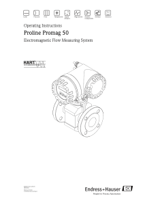 ProlinePromag50电磁流量计说明书EH