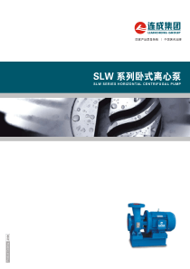 SLW型泵