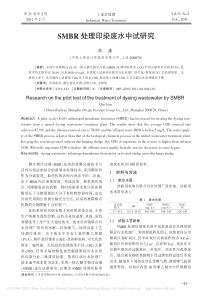 SMBR处理印染废水中试研究钦濂