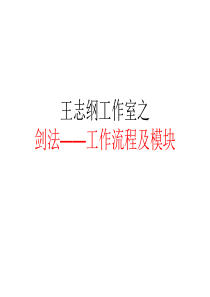 王志纲—剑法工作流程及模块