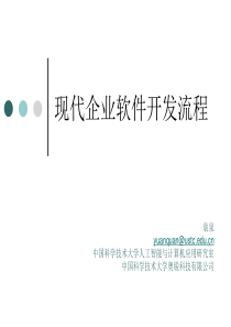 现代企业软件开发流程