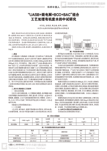 UASB微电解BCOBAC组合工艺处理有机废水的中试研究