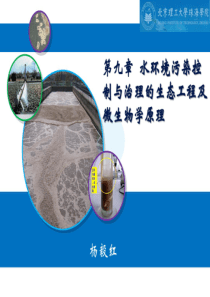 YYH第九章水环境污染控制与治理的生态工程及微生物学原理