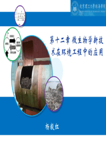 YYH第十二章微生物学新技术在环境工程中的应用