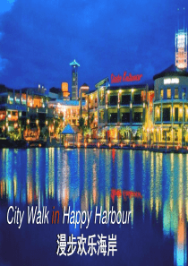 欢乐海岸项目位策略及项目发展建议