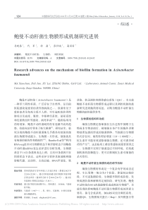 鲍曼不动杆菌生物膜形成机制研究进展马晓春